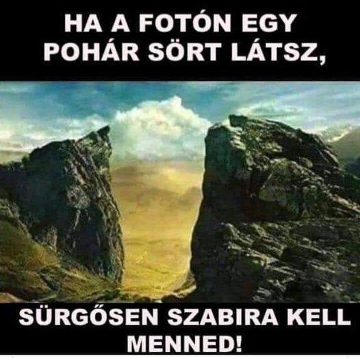 Cég logó